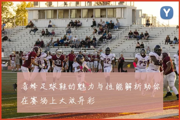 毒蜂足球鞋的魅力与性能解析助你在赛场上大放异彩