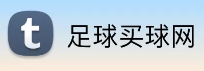 足球买球网 logo